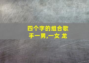 四个字的组合歌手一男,一女 龙